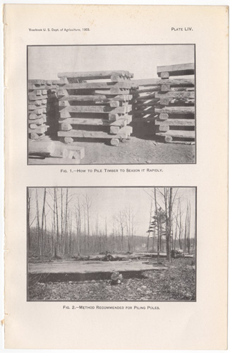   (Click image to view an enlarged scan.  Darvill's digital watermark does not appear on actual antique print.)    SHEET SIZE: APPROX. 5.75 X 9 INCHES  PLATE LIV  Fig. 1: Lumber Piled to Shed Water---France. Fig. 2: Baltic Pine Ties Piled to Shed Water---Germany.    $8  (some foxing possible; see enlargement for condition)       